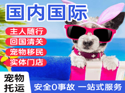 王村机场快运国际宠物托运 【国